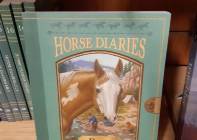 Horse Diaries