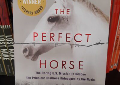 The Perfect Horse